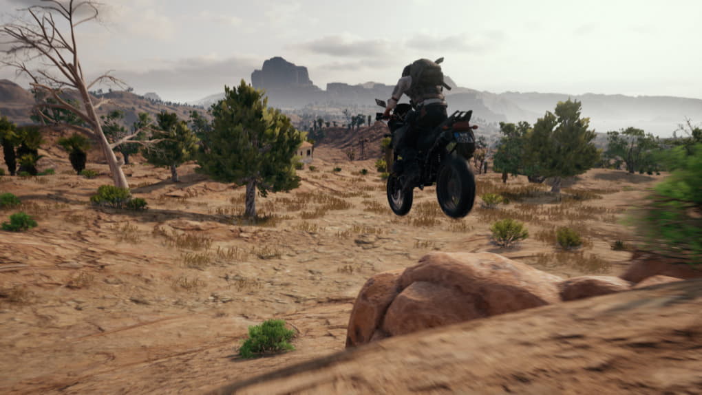 PUBG, скриншот