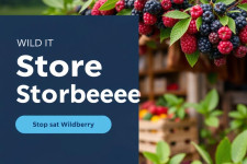 Как эффективно продвигать свой магазин на Wildberries: секреты и советы