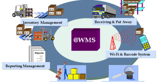 Проезд на красный: риски и последствия, о которых стоит знать