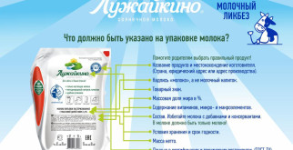 Штрафы за красный свет на камеру: что делать и как избежать