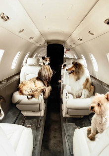 ДТП в СССР: Как браки в системе приводили к трагедиям на дорогах