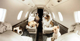 ДТП в СССР: Как браки в системе приводили к трагедиям на дорогах