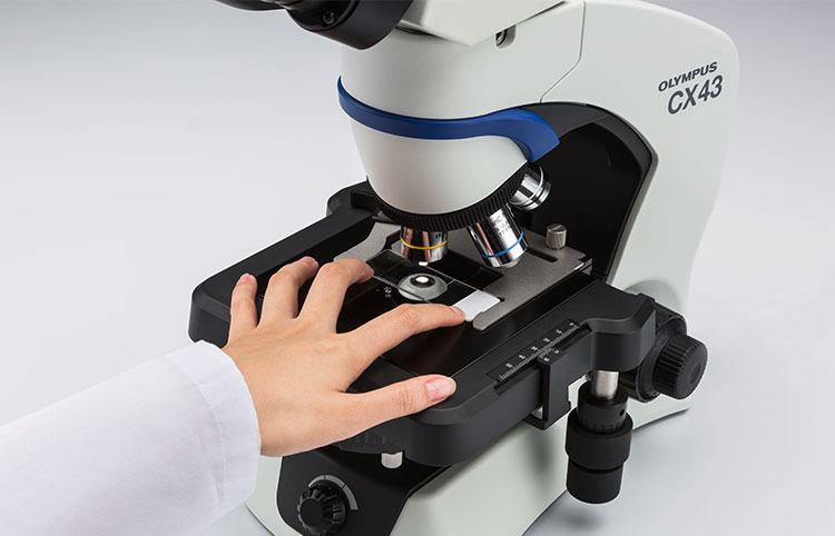 Как оптический микроскоп Olympus преобразует микроскопию